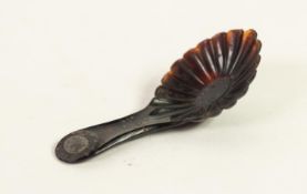 RARE LATE EIGHTEENTH/NINETEENTH CENTURY CARVED TORTOISESHELL CADDY SPOON, having fluted oval bowl,