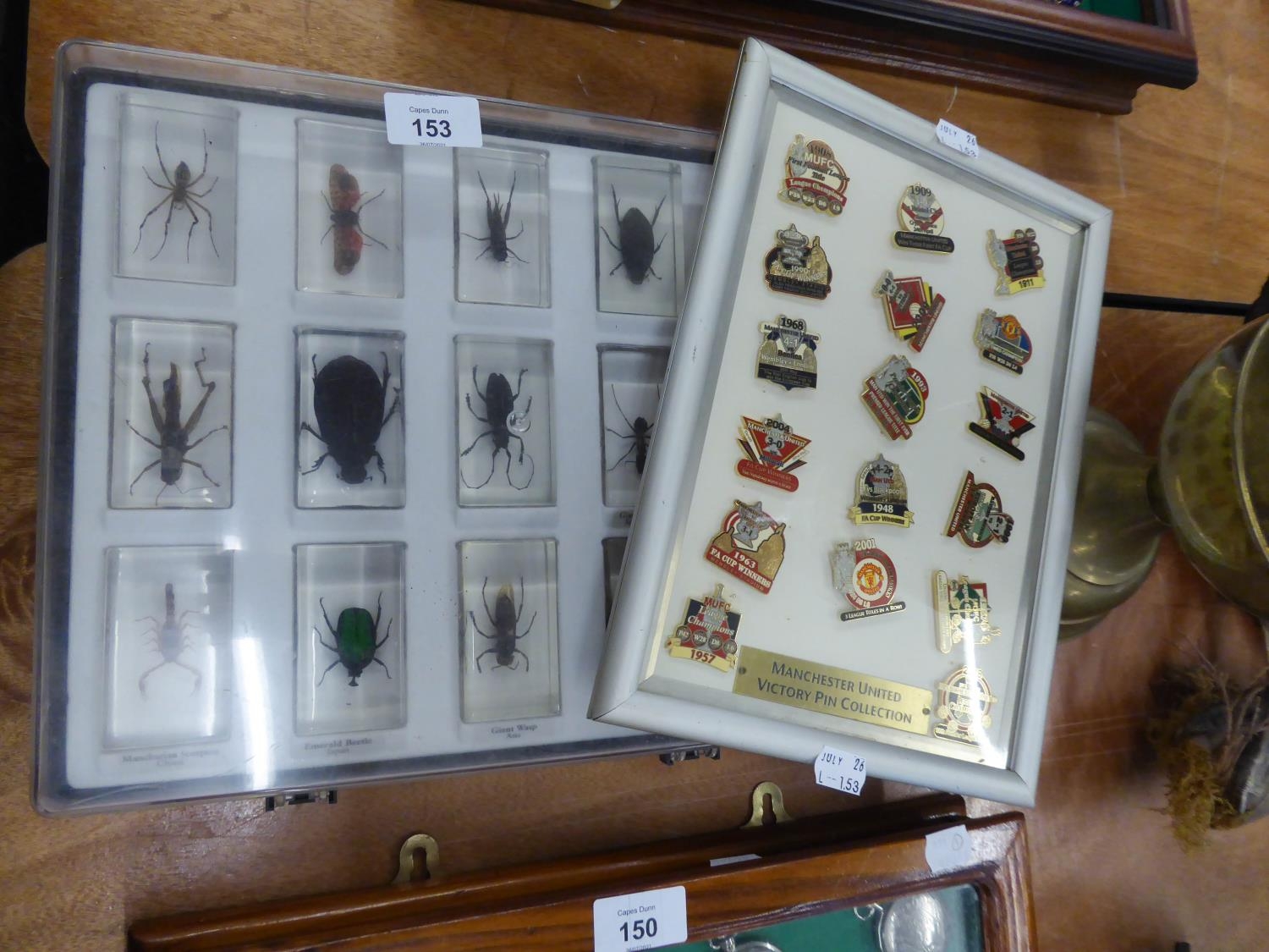 17 VARIOUS MANCHESTER UNITED VICTORY PINS, IN FRAME, AND 15 RESIN INSECT SPECIMEN PAPERWEIGHTS IN