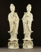 MODERN PAIR OF CHINESE BLANC DE CHINE FIGURES OF GUAN YIN, each modelled holding a lotus and