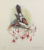 RICHARD WARD (TWENTIETH/ TWENTY FIRST CENTURY) ARTIST SIGNED LIMITED EDITION COLOUR PRINT Bird