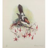 RICHARD WARD (TWENTIETH/ TWENTY FIRST CENTURY) ARTIST SIGNED LIMITED EDITION COLOUR PRINT Bird