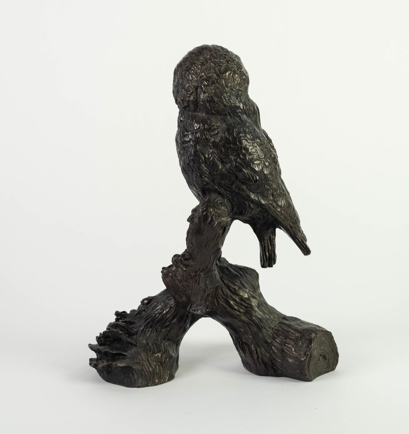 JEANNE RYNHART (1946-2020) BRONZED RESIN SCULPTURE Modelled as an owl perched on a tree branch - Image 2 of 3