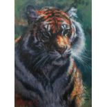 ROLF HARRIS (b.1930) ARTIST SIGNED LIMITED EDITION COLOUR PRINT ON CANVAS ?Tiger in the Sun?, (115/