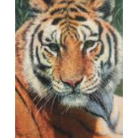 TONY FORREST (1961) ARTIST SIGNED LIMITED EDITION COLOUR PRINT ?Wild Thing?, (43/195), with