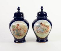 PAIR OF SEVRES STYLE PORCELAIN VASES AND COVERS, each of inverted baluster form with pointed