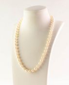 SINGLE STRAND NECKLACE OF UNIFORM CULTURED PEARLS with 9ct gold trigger clasp, 16in (40.5cm) long,