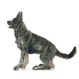 APRIL SHEPHERD (MODERN) LIMITED EDITION RESIN MODEL OF A DOG ?Raring to Go?, (16/295) with