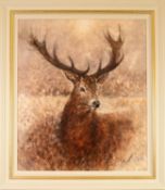 GARY BENFIELD (b.1965) ARTIST SIGNED LIMITED EDITION PRINT ?Noble?, (66/195), with certificate 31 ¾?