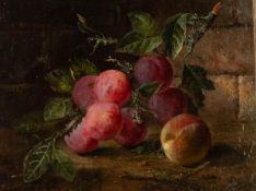 OLIVER CLARE (1853-1927)  OIL PAINTING ON CANVAS LAID DOWN ON BOARD  Still life of a branch of plums