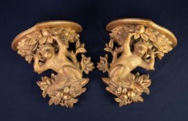 PAIR OF CARVED GILTWOOD ?MONKEY? WALL BRACKETS, each with shaped top above a monkey, crouching in