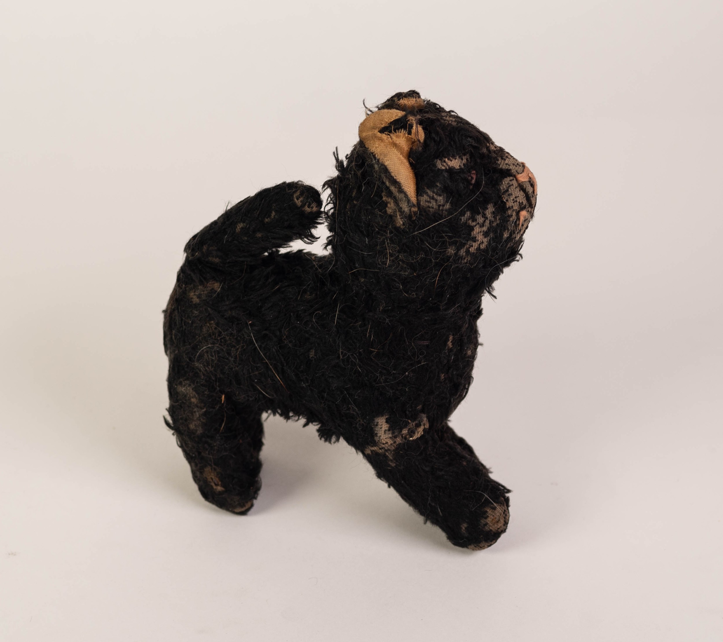 PRE-WAR, POSSIBLY STEIFF, SMALL BLACK CAT STANDING, with blond plush inner ears, (well loved), - Image 2 of 2