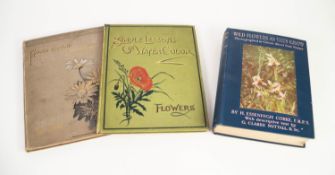 Ethel Nisbet- Flower Painting for Beginners, pub Blackie, illustrated with various floral