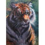 ROLF HARRIS (b. 1930) ARTIST SIGNED LIMITED EDITION COLOUR PRINT ON CANVAS ?Tiger in the Sun?, (97/