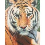 *TONY FORREST (1961) ARTIST SIGNED LIMITED EDITION COLOUR PRINT ?Wild Thing?, (60/195), with