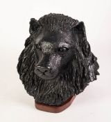 TWENTIETH CENTURY HAND SCULPTURED TERRACOTTA MASK HEAD OF A LION with full mane, black gloss finish,