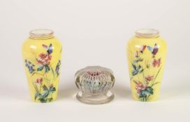 PAIR OF 19th CENTURY YELLOW OVERLAID OPAQUE GLASS VASES, enamelled with ascending wild flowers, each