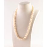 SINGLE STRAND NECKLACE OF UNIFORM CULTURED PEARLS, with 9ct clasp, in fitted case labelled