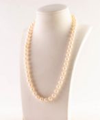 SINGLE STRAND NECKLACE OF UNIFORM CULTURED PEARLS, with 9ct clasp, in fitted case labelled