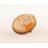 9ct GOLD FRAMED OVAL SHELL CAMEO BROOCH depicting a female head, 1 1/4in (3cm) high, 6.6 gms gross