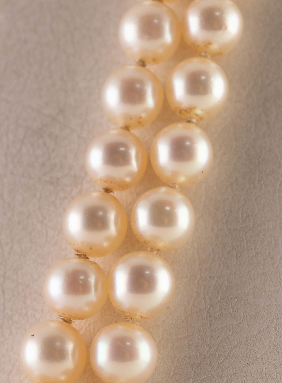 TWO STRAND NECKLACE OF GRADUATED CULTURED PEARLS with 9ct gold daisy cluster clasp with centre - Image 2 of 3