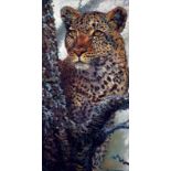 ROLF HARRIS (b.1930) ARTIST SIGNED LIMITED EDITION COLOUR PRINT ON PAPER ?Alert For Prey?, (131/