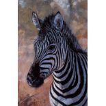 ROLF HARRIS (b. 1930) ARTIST SIGNED LIMITED EDITION COLOUR PRINT ON DELUXE CANVAS ?Young Zebra?, (