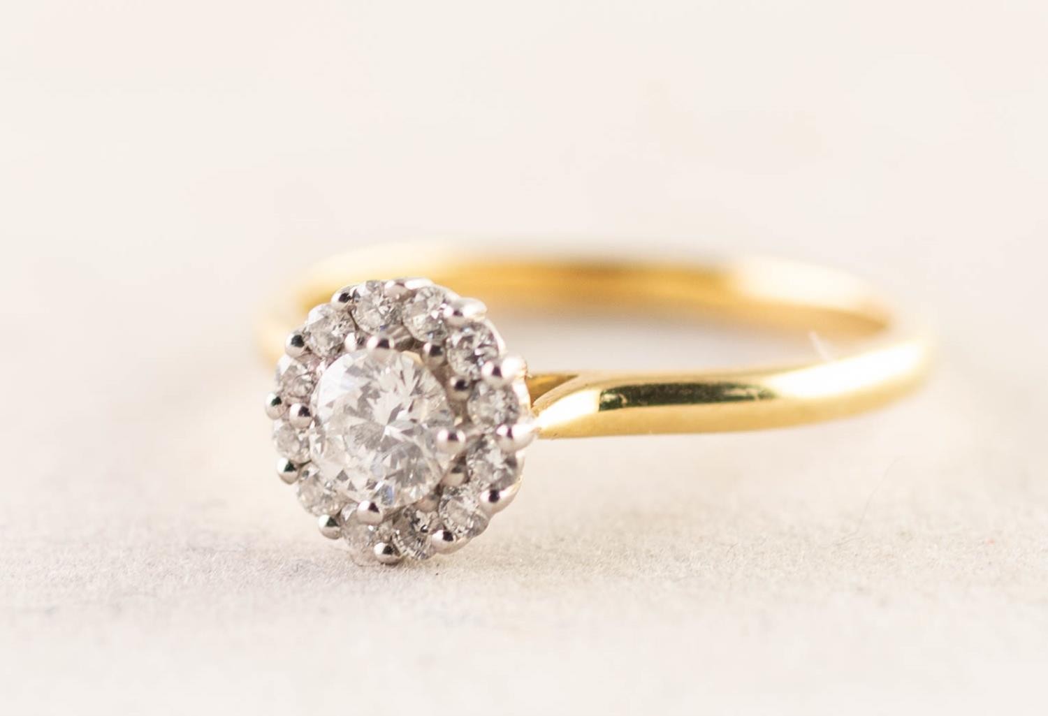 18ct GOLD AND DIAMOND CIRCULAR CLUSTER RING set with a centre round brilliant cut diamond,