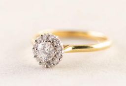 18ct GOLD AND DIAMOND CIRCULAR CLUSTER RING set with a centre round brilliant cut diamond,