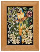 A Moorcroft 'Ararauna' plaque by Sian Leeper