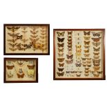 Three cased entomologists collections of moths and butterflies