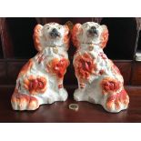 GOOD PAIR OF POTTERY DRESSER DOGS, APPROXIMATELY 19.5cm HIGH