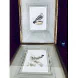 SAMUEL HOWITT 1755-1822, PAIR OF WATERCOLOUR DRAWINGS OF PIGEONS, APPROXIMATELY 18cm x 14cm