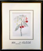 MR BOLTON OF HALIFAX- 'BOTANICAL STUDY', PRINT, UNSIGNED, APPROXIMATELY 17.5 x 13cm