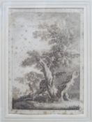 Framed monochrome engraved print depicting a gentleman climbing a tree pursued by a bull. Approx.