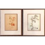 CAMERON MAKINTOSH- 'BLACKTHORN CHIDDINGSTONE' AND 'JAPONICA CHIDDINGSTONE', 1910, PRINTS, SIGNED