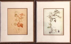 CAMERON MAKINTOSH- 'BLACKTHORN CHIDDINGSTONE' AND 'JAPONICA CHIDDINGSTONE', 1910, PRINTS, SIGNED