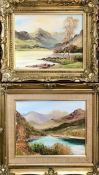 TWO SMALL OIL ON CANVAS PICTURES, PROBABLY NORTH WALES