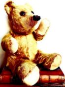 VINTAGE TEDDY BEAR - POSSIBLY STEIFF