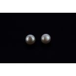 A pair of large cultured pearl stud earring (10mm) on silver stems.