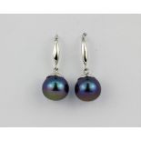 A pair of large (10.5mm) blue/black cultured pearl earrings on 18ct white gold plated 925 silver