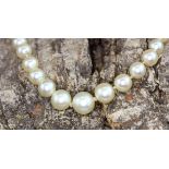 A graduated pearl necklace on a 9ct yellow gold clasp, L. 48cm.