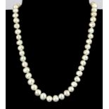 A single strand necklace of fresh water pearls, L. 40cm.