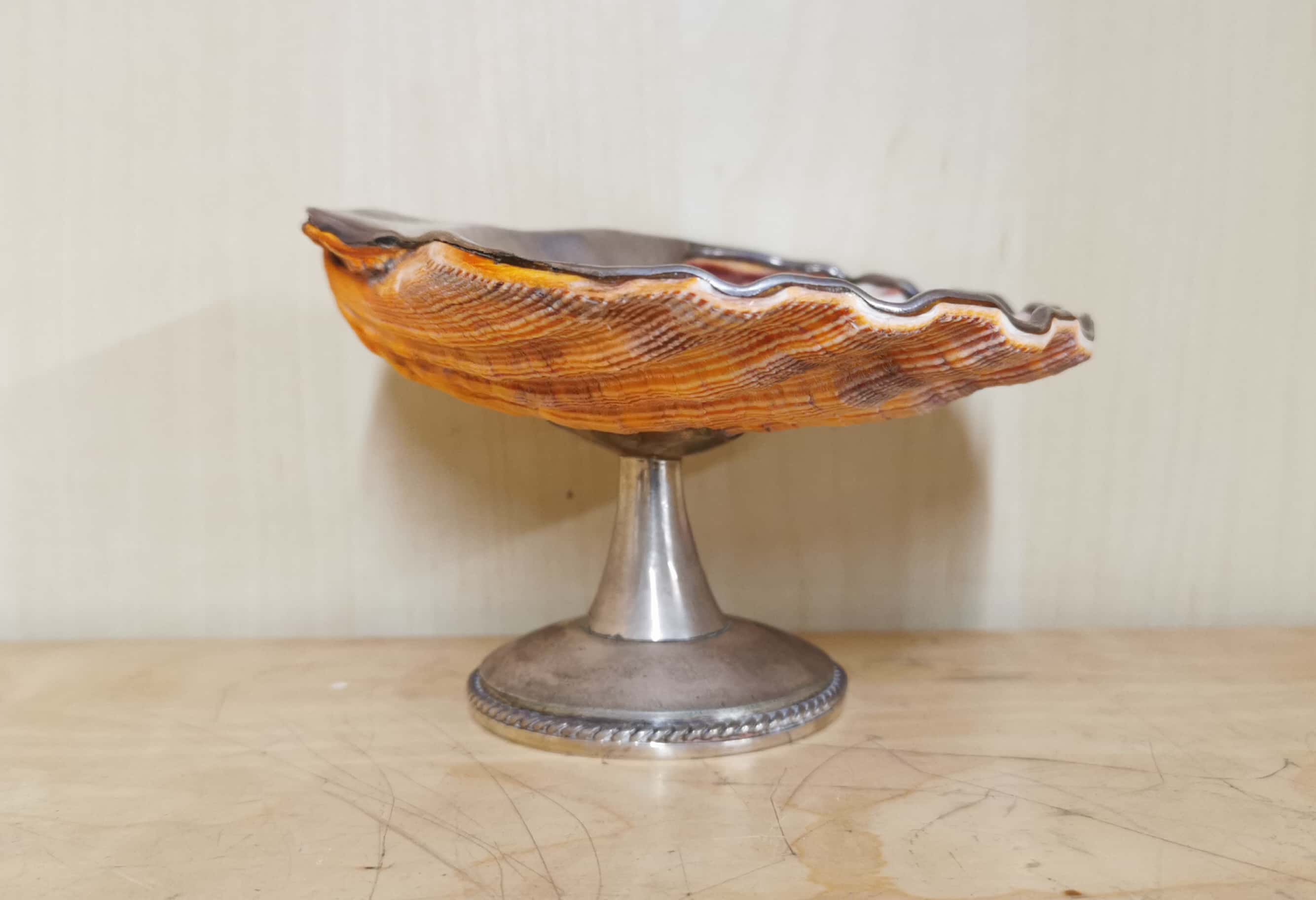 A sterling silver mounted shell bon bon dish, H. 8.5cm, W. 13cm.