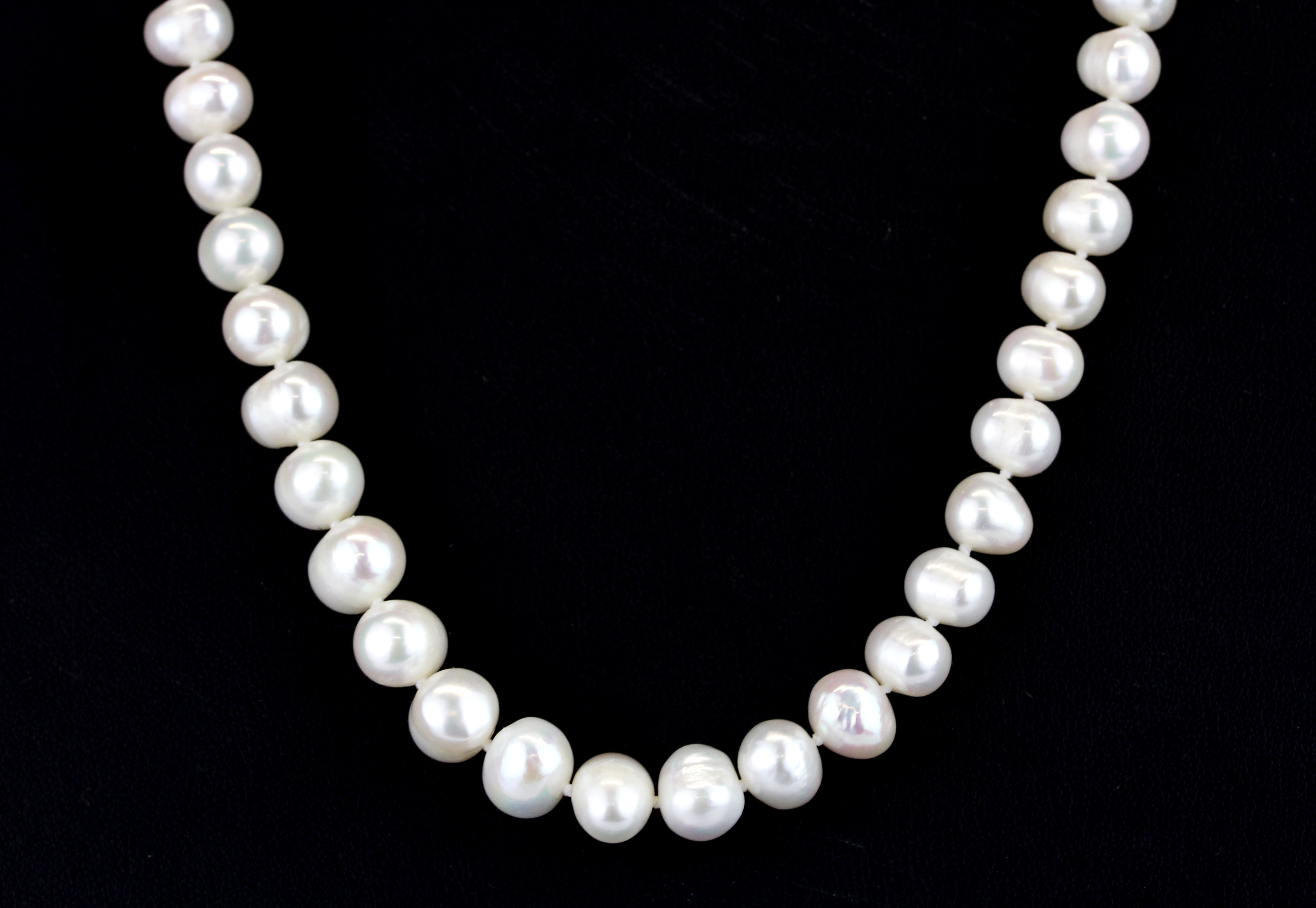 A single strand necklace of fresh water pearls, L. 40cm. - Image 2 of 2