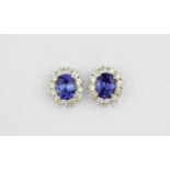 A pair of 18ct white gold (stamped 750) cluster earrings set with oval cut tanzanites, L. 1.3cm.