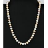 A 14ct plated cultured pearl necklace with white, cream and pink pearls, L. 42cm.