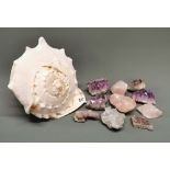 A large seashell, H. 20cm. together with a group of amethyst and rose quartz crystals.