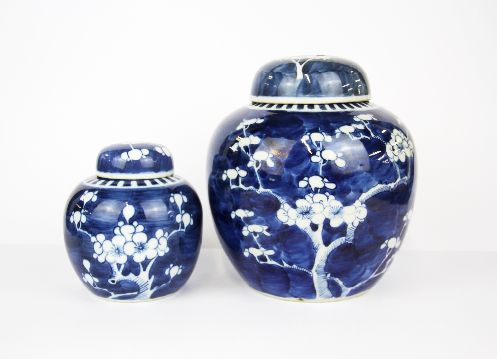 Two Chinese hand painted ginger jars and lids decorated with 'Prunus' pattern, largest 18.5cm.