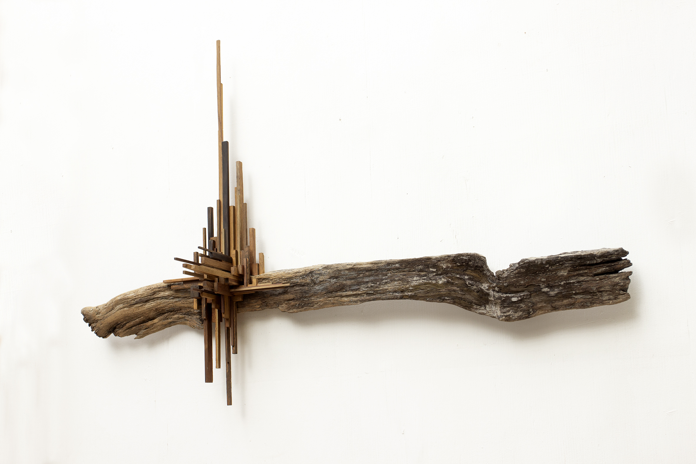 Rubin Eynon, "Mycelium V", wooden assemblage, 2014, 102 x 70 x 21cm. One of series of wall mounted