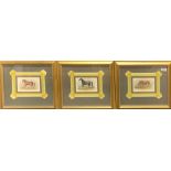 A set of three beautifully framed 19th Century engravings of horses, frame size 41 x 37cm.